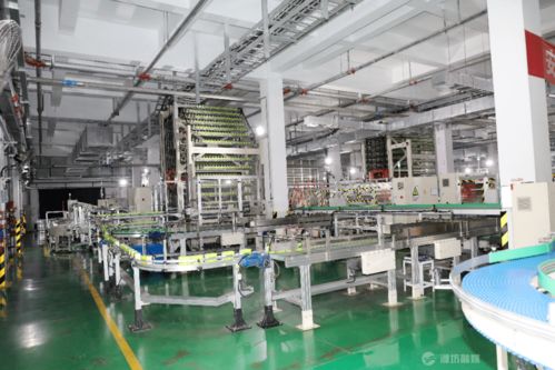 重点项目落地有声 建设现场热火朝天
